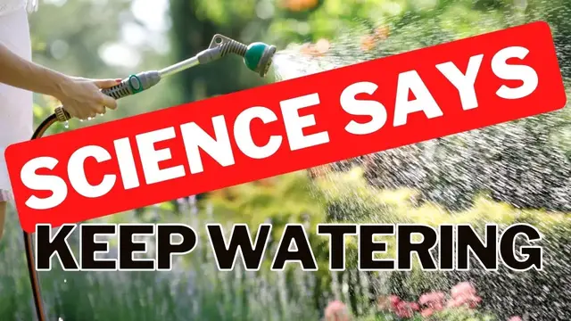 'Video thumbnail for When Should You Stop Watering Your Yard In The Fall? Plants Are Bulking Up On Root Mass.'