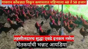 'Video thumbnail for गावरान कोंबड्या विकून कमावतात महिन्याला 40 ते 50 हजार | marathi business idea chicken farm business'