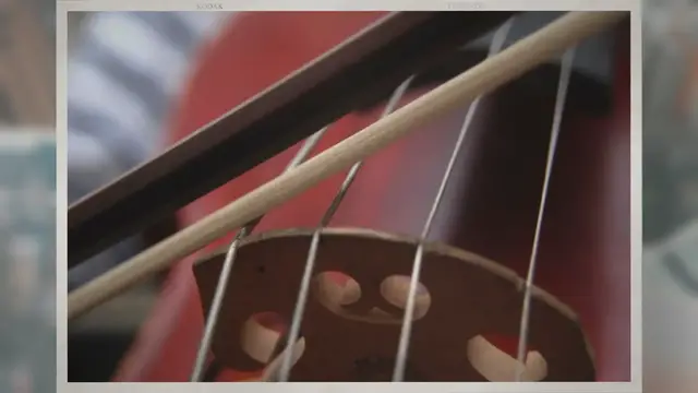 'Video thumbnail for How To Hold A Cello Bow – Cellos 101'