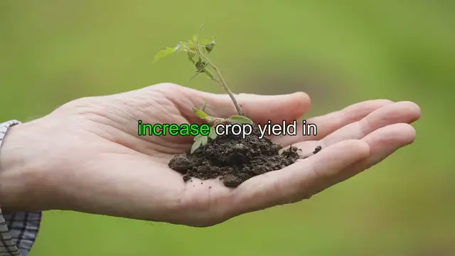 'Video thumbnail for Maximizing Crop Yield: The Power of Companion Planting in Your Garden'