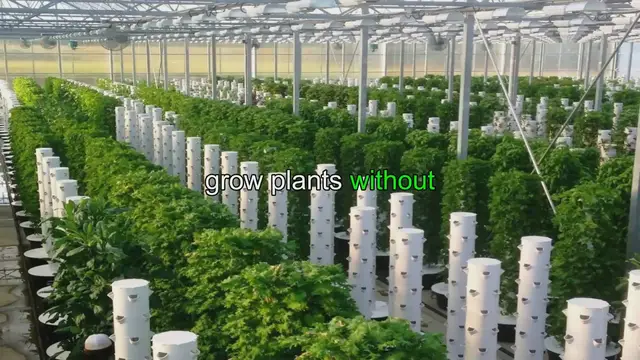 'Video thumbnail for Ultimate Guide: How to Maintain and Care for Your Aeroponic Gardening System'