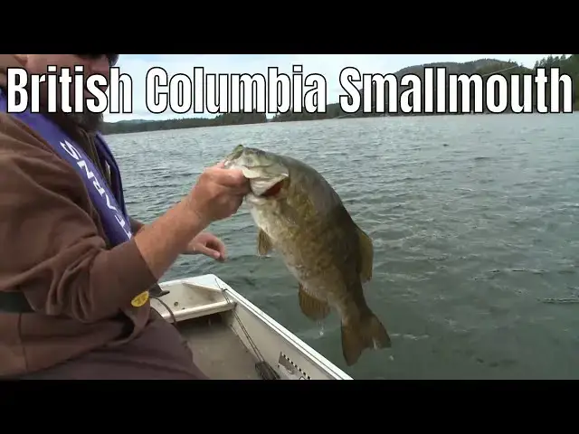 'Video thumbnail for British Columbia Smallmouth Bass | Fish'n Canada'