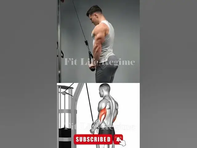 'Video thumbnail for The ONLY 5 Exercises You Need for BIGGER Arms'