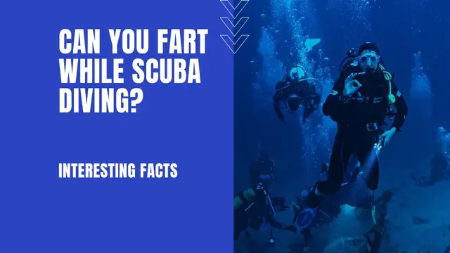 'Video thumbnail for Can You Fart While Scuba Diving? (7 Interesting Facts)'