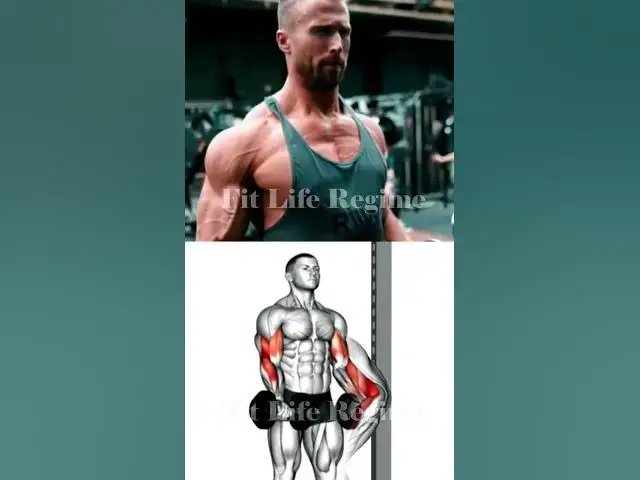 'Video thumbnail for Build Your Back and Biceps FAST with This Proven Workout'