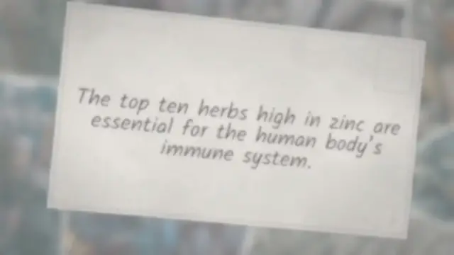 'Video thumbnail for Top 10 Herbs High in Zinc'