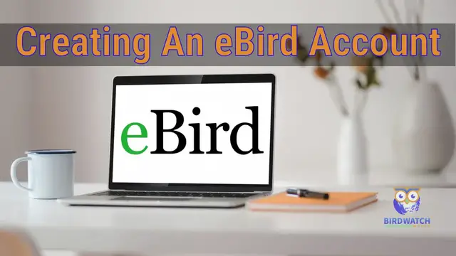 'Video thumbnail for Creating A Cornell Lab Account To Use eBird - Birdwatch World'