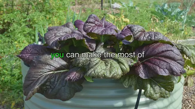 'Video thumbnail for Maximizing Space in a Raised Bed Garden: Tips and Tricks'
