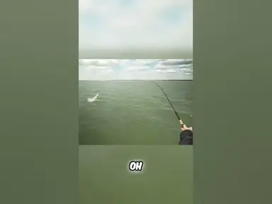 'Video thumbnail for The Northwest Territories Post-Spawn Pike Pattern'