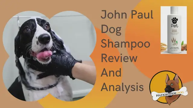 'Video thumbnail for John Paul Dog Shampoo Review'
