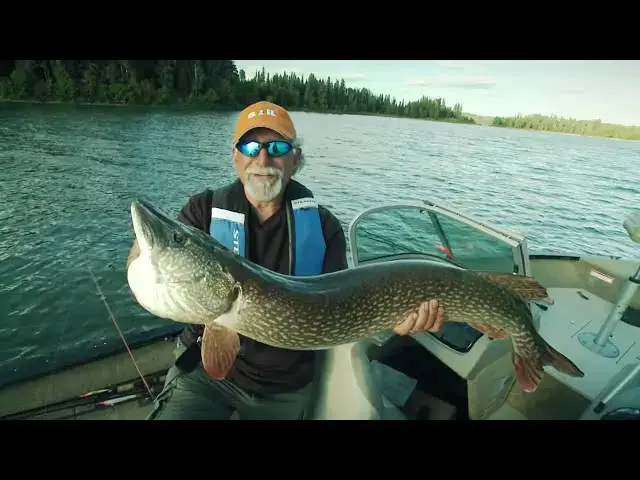 'Video thumbnail for Northern Alberta Northerns | Fish'n Canada'