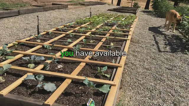 'Video thumbnail for Square Foot Gardening: Ultimate Planning and Layout Guide'