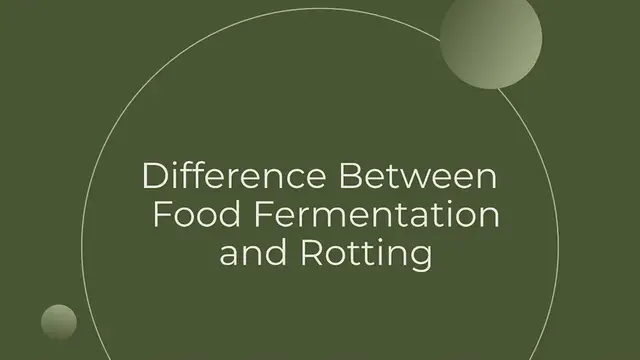 'Video thumbnail for Difference Between Fermentation and Rotting Food'