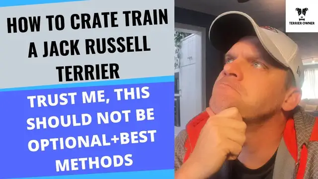 'Video thumbnail for Crate Training A Jack Russell Terrier (How To Do It Correctly And Why It's So Important)'