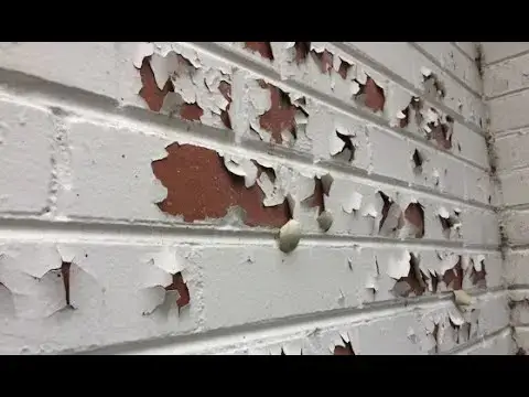'Video thumbnail for Adhesive Chain and Ask Anything LIVE Stream 11-19-2021 Ask the Builder'