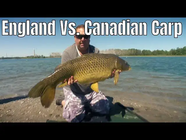 'Video thumbnail for England Vs. Canadian Carp | Fish'n Canada'