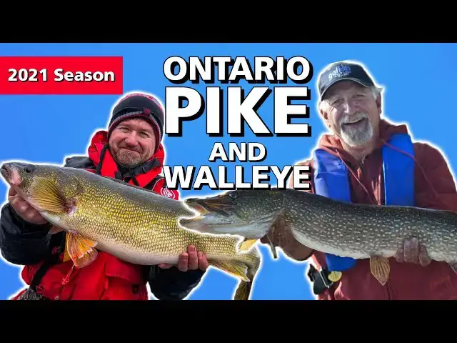 'Video thumbnail for Walleye & Northern Pike: Ontario's One-Two Punch'