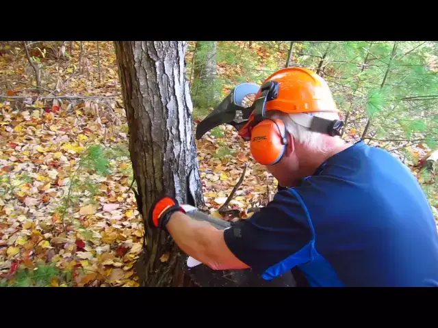 'Video thumbnail for STIHL 2 and 1 Chain Sharpening Tool'