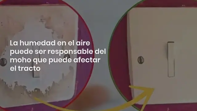 'Video thumbnail for Aqui te mostramos como hacer un absorbente de humedad para aromatizar la casa de una manera facil y economica:'