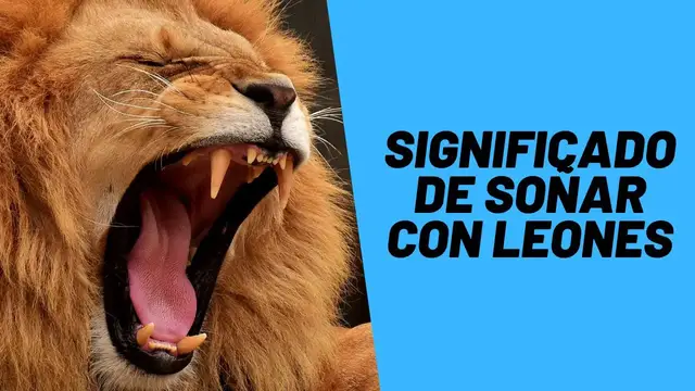 'Video thumbnail for Significado de soñar con leones'