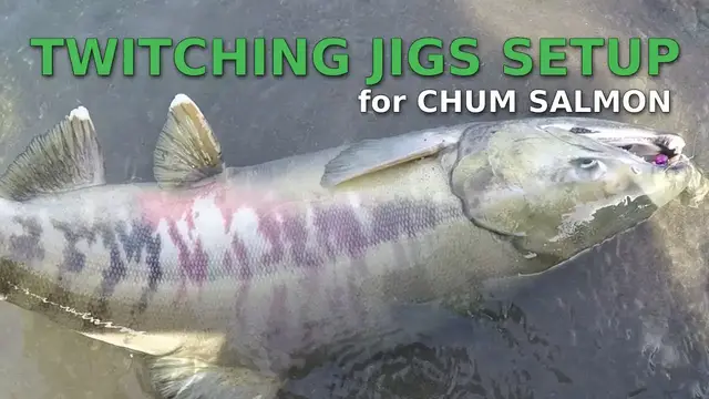 'Video thumbnail for Chum Salmon Twitching Jigs Setup and some Vedder River fishing'