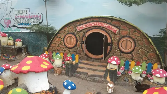 'Video thumbnail for Rumah Strawberry dan Kelinci Lampung, Wahana Belajar Sambil Bermain'