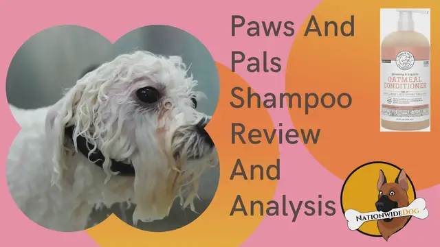 'Video thumbnail for Paws And Pals Shampoo Review And Analysis'