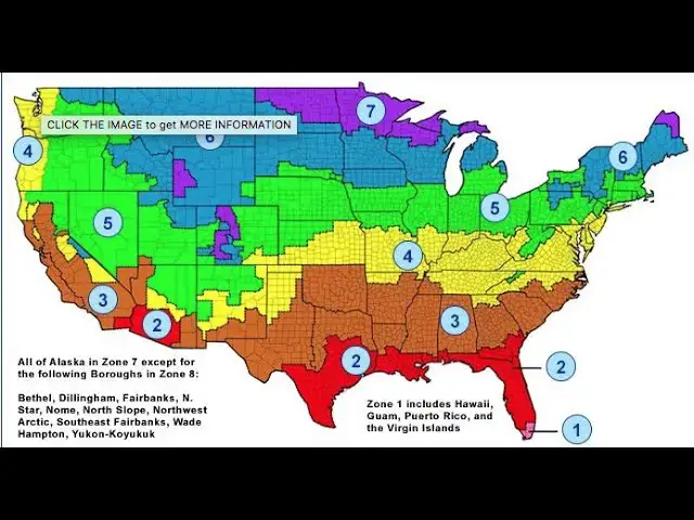 'Video thumbnail for Attic Insulation Truth Debunk the Myths - LIVE Stream Ask theBuilder 11-18-2021'