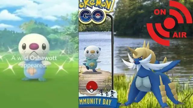 'Video thumbnail for ⭕✨OSHAWOTT COMMUNITY DAY PT.2 ✨ S H I N Y ✨H U N T I N G ✨POKEMON GO 2021✨#livestream #pokemon #live'