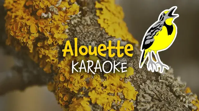 'Video thumbnail for Alouette (Karaoke) | Instrumental Video with Lyrics (paroles)'