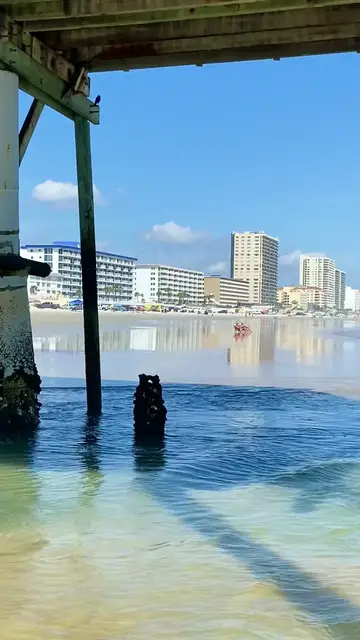 'Video thumbnail for Under the Florida Beach Pier'