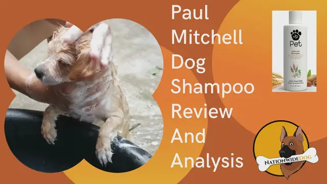 'Video thumbnail for Paul Mitchell Dog Shampoo Review And Analysis'