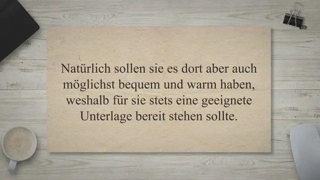 'Video thumbnail for Krabbelmatte – die beste Unterlage zum Spielen'