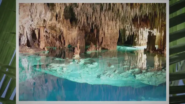 'Video thumbnail for Discover the Best Cenotes Near Puerto Aventuras'