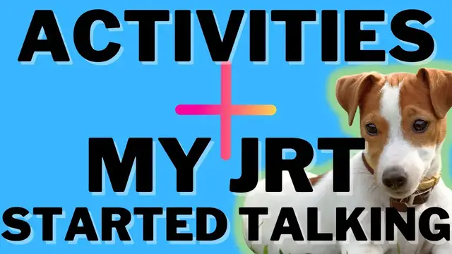 'Video thumbnail for Activities For Jack Russell Terriers (+ Luna Found Her Voice And Wants To Chat Today)!'