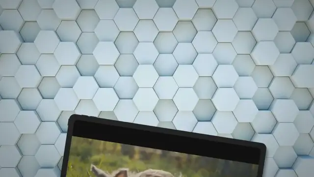 'Video thumbnail for Are Rabbits Primary Consumers?'