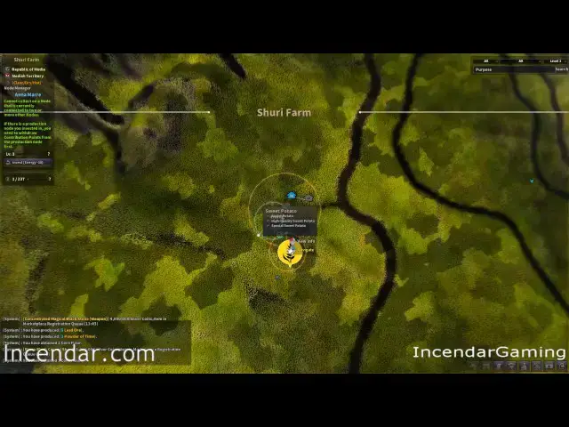 'Video thumbnail for Special Nodes for Cooking Alchemy Trading Life Alchemy Stone BDO Black Desert Online'