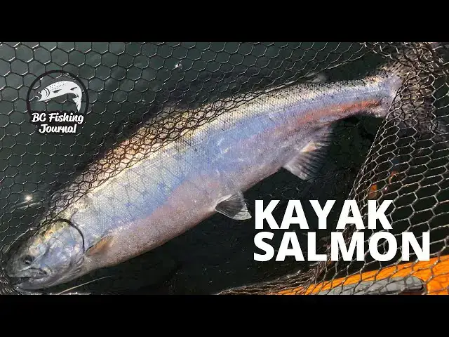 'Video thumbnail for Jigging Chinook salmon in Kayak'