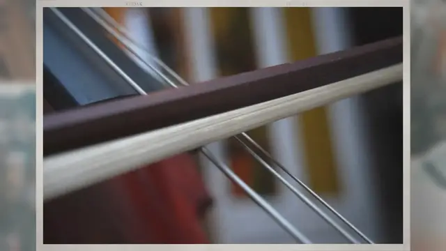 'Video thumbnail for How Much Does A Cello Bow Weigh?'