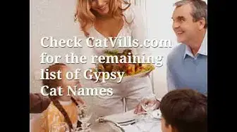 'Video thumbnail for Gypsy Cat Names That We Love'