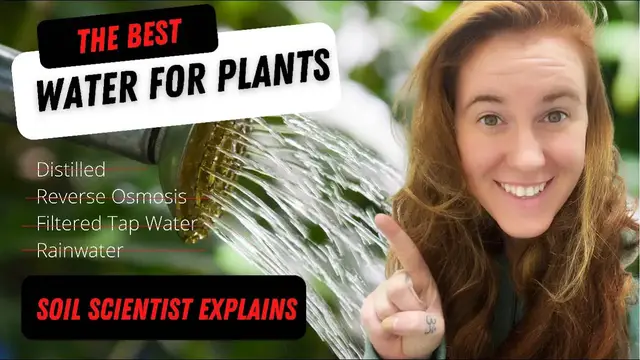 'Video thumbnail for Is Distilled Water Good For Plants? Is Tap Water Bad For Plants? Does Chlorine Harm Plants?'