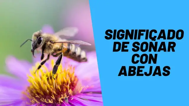 'Video thumbnail for Significado de Soñar con Abejas'