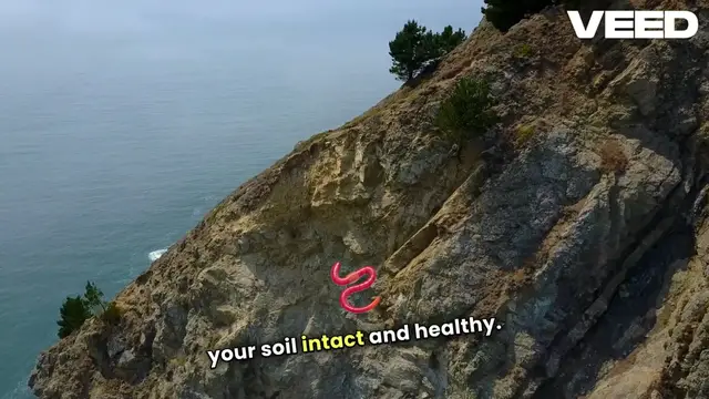 'Video thumbnail for Transform Your Garden with Ground Covers'