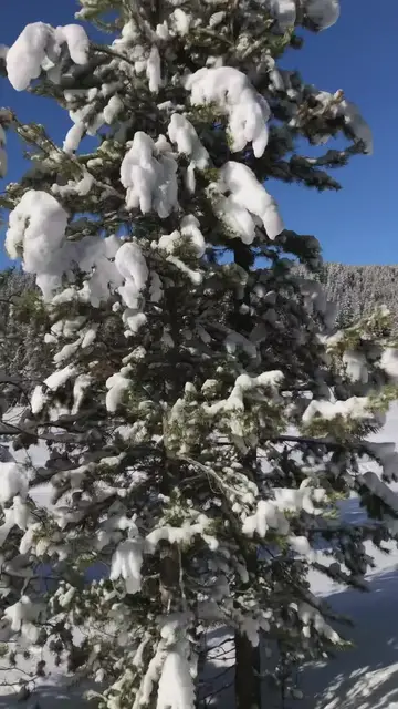 'Video thumbnail for How to See Yellowstone in Winter'