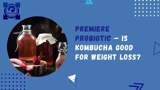 'Video thumbnail for Kombucha - Premiere Probiotic #shorts#kombucha #evepacifichealth'