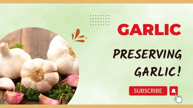 'Video thumbnail for Preserving Garlic // Jeni Gough'