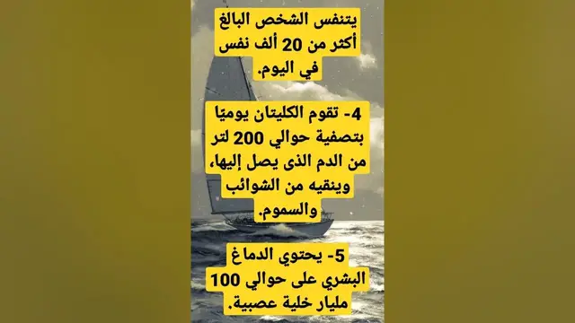 'Video thumbnail for معلومات عن جسم الانسان'