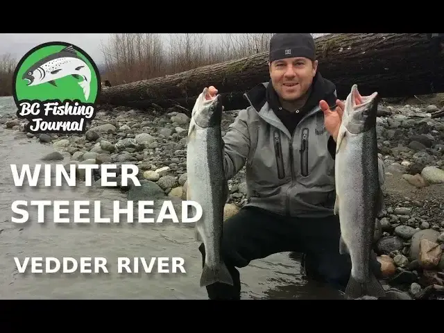 'Video thumbnail for Vedder River Winter Steelhead -  80's Style!'