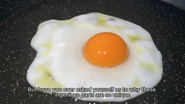 'Video thumbnail for Eggs_ A Complete Protein'