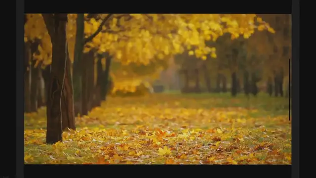 'Video thumbnail for Discover the Delicious Taste of Autumn Crisp Apples | Nutrition and Recipes'